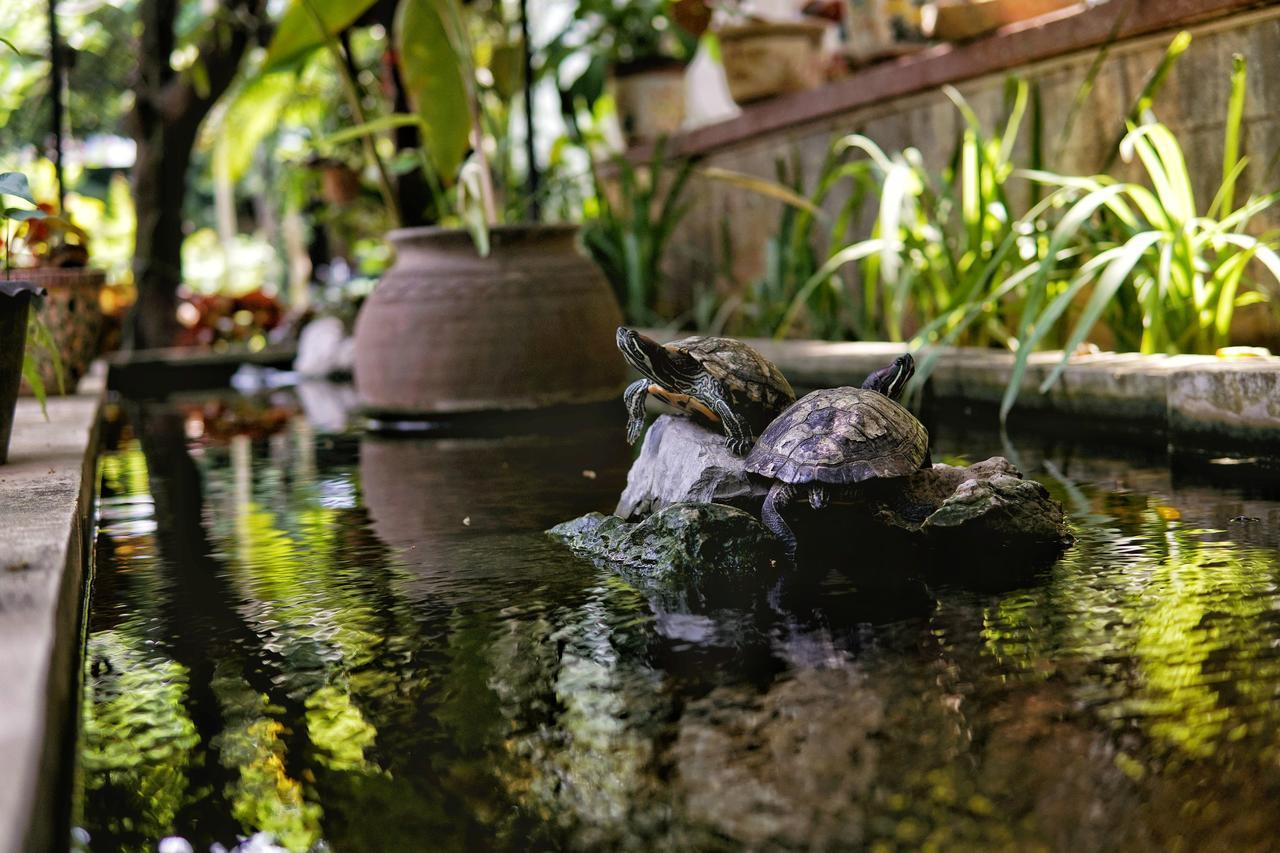 Hotel Lani'S House By The Ponds Vientiane Exteriér fotografie